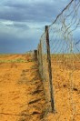 Dingo Fence